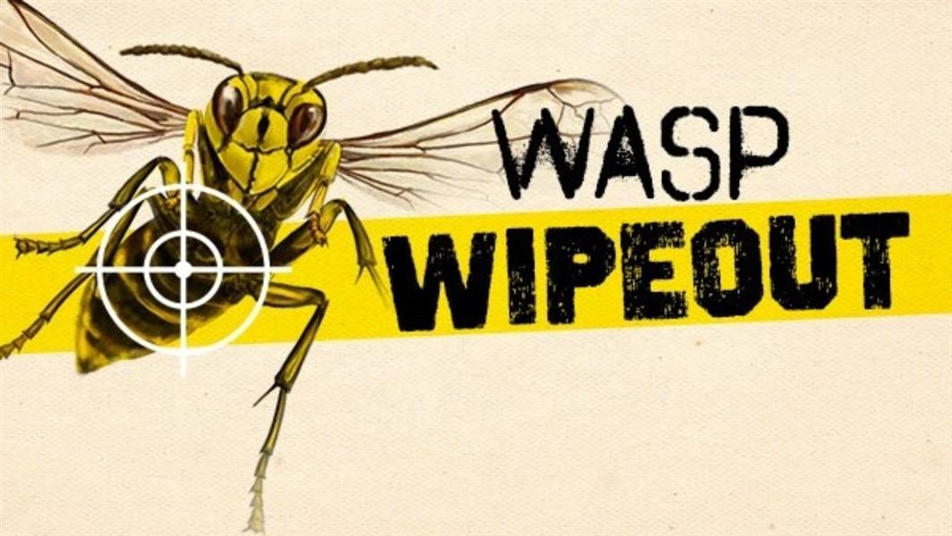 Wasp Wipeout campaign image