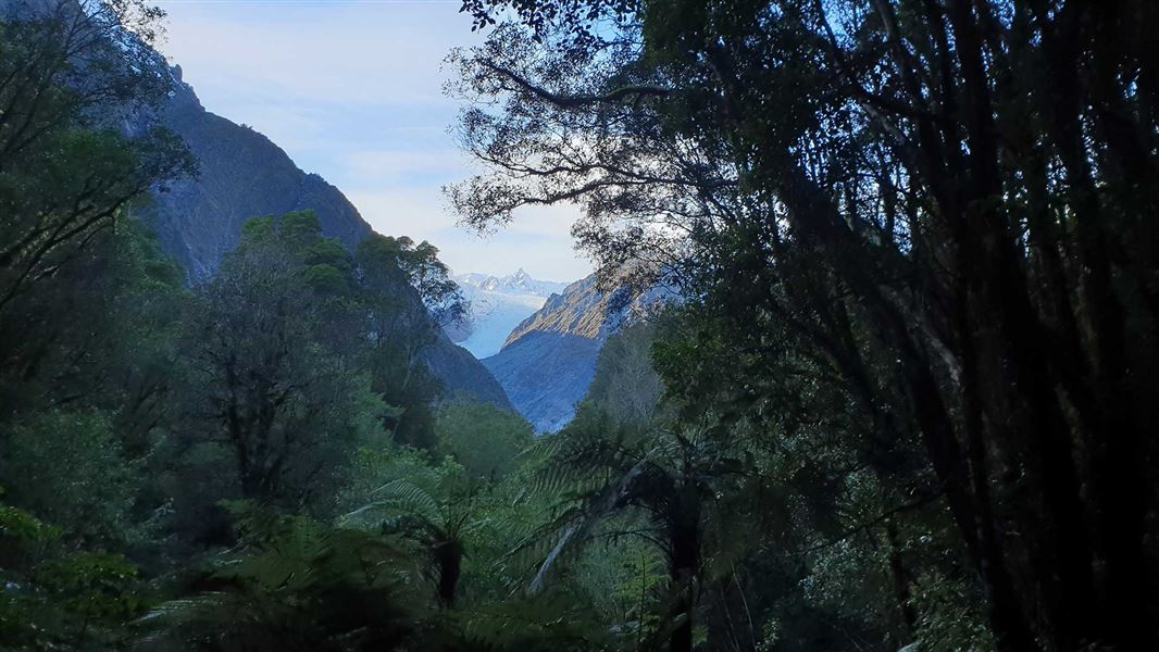 Fox Glacier South Side Walk. 