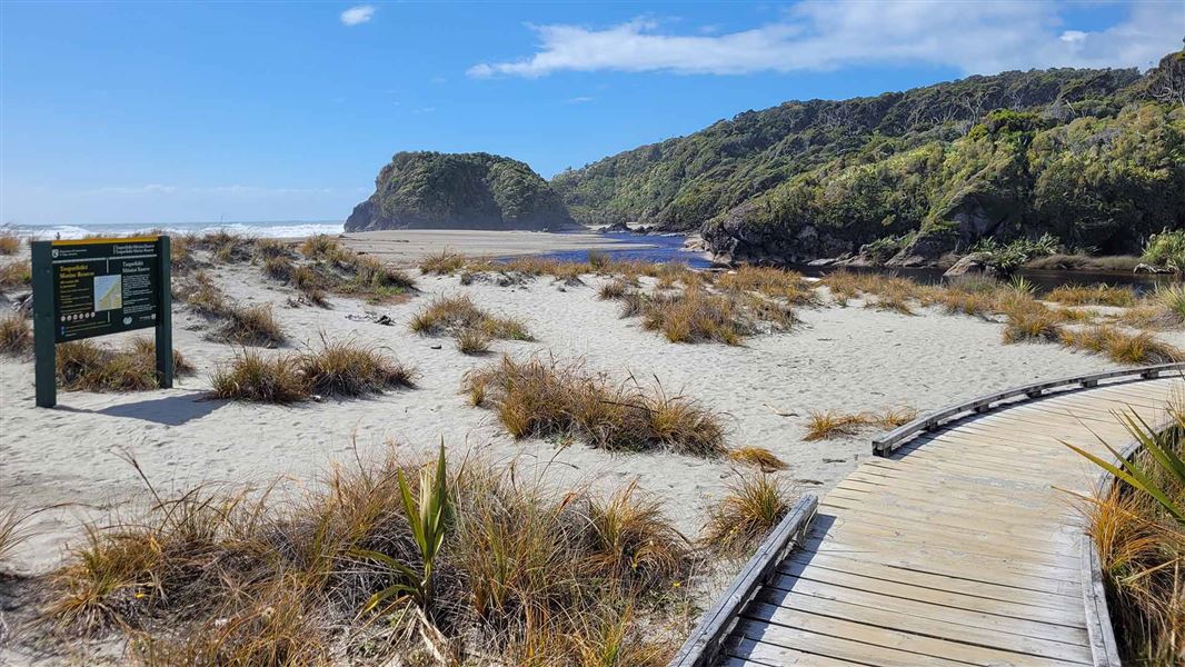 Ship Creek Tauparikākā Walks