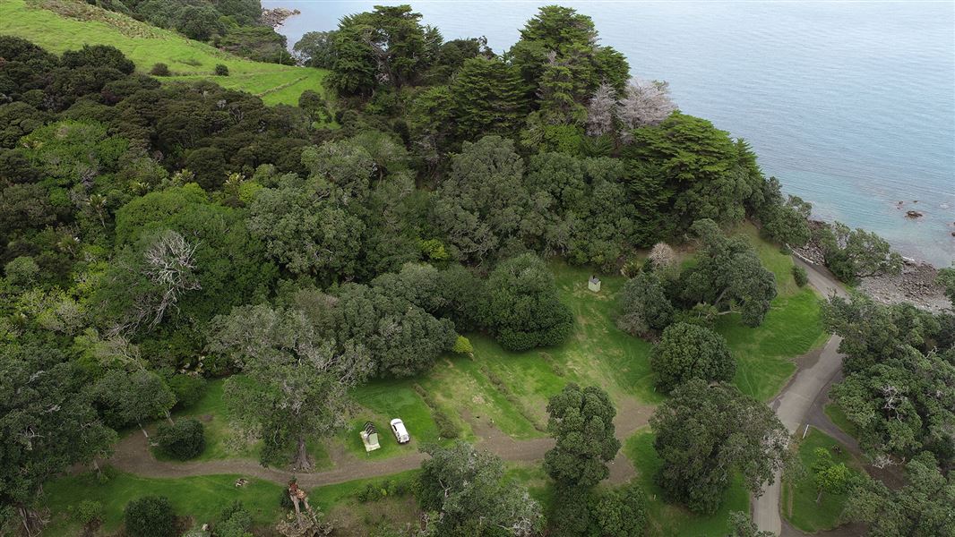 Campsite with trees by beach.