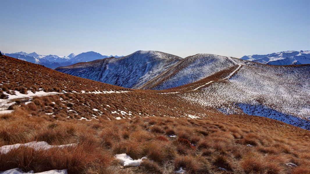 View from Glen Dene Ridge Track. 