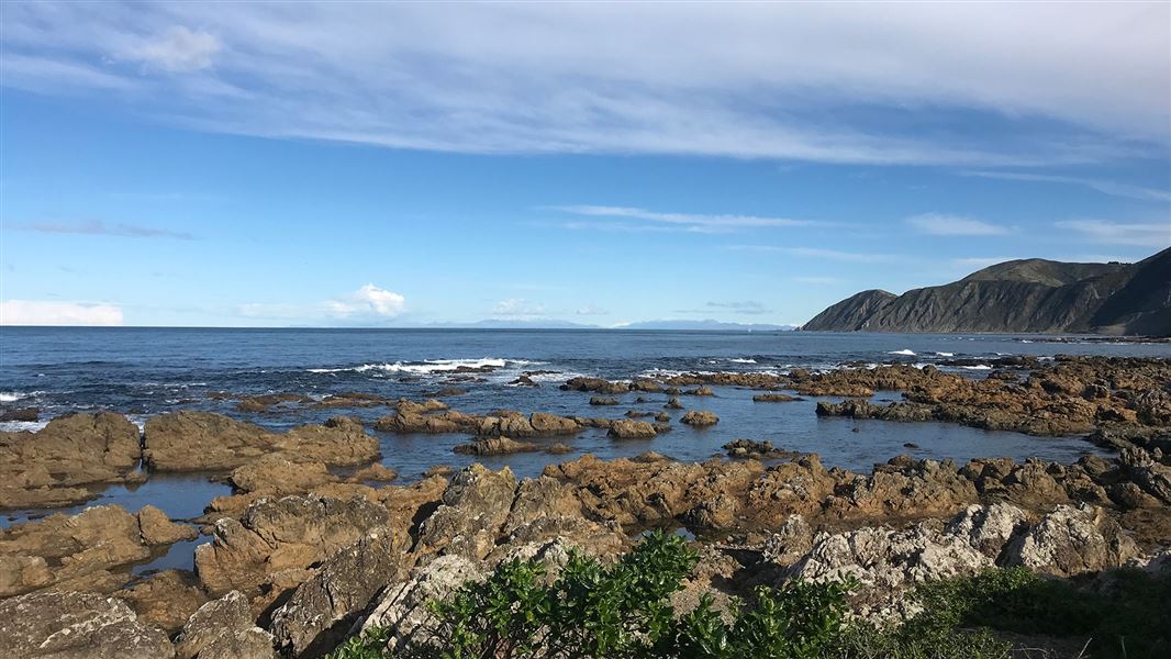 Rocky shoreline of marine reserve.