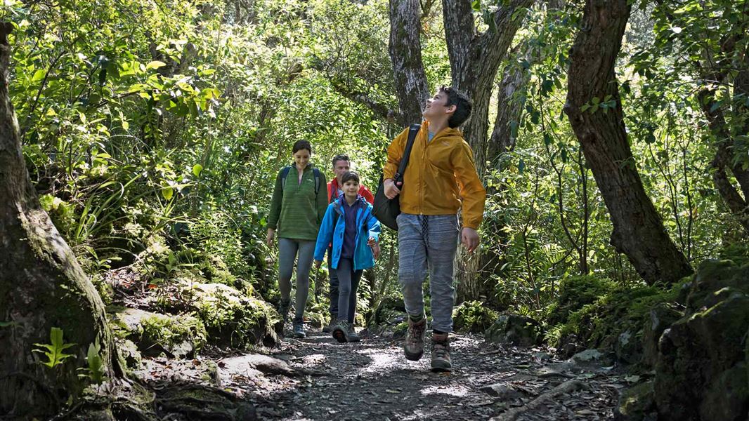 Family on Rangitoto Summit Track. 