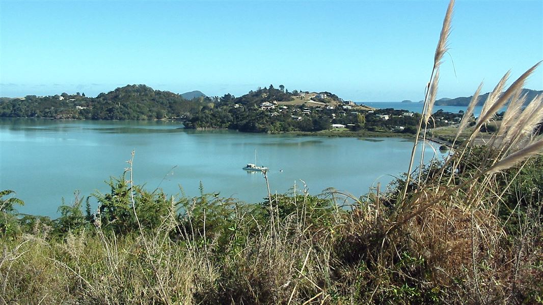 View from the Kauri Block Track. 