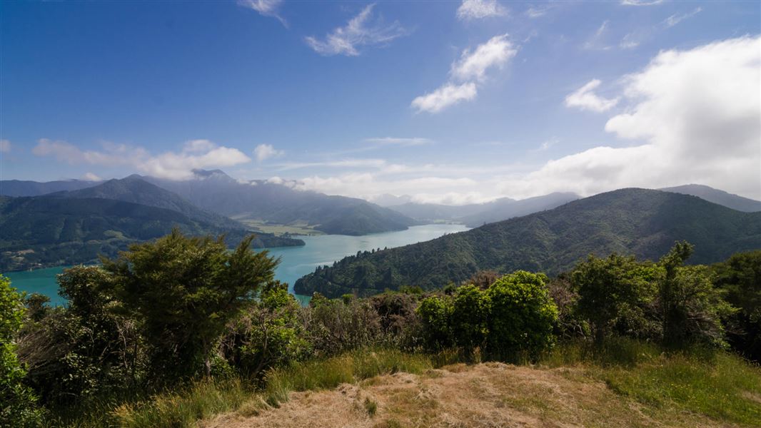 Bay of Many Coves Campsite Queen Charlotte Track.