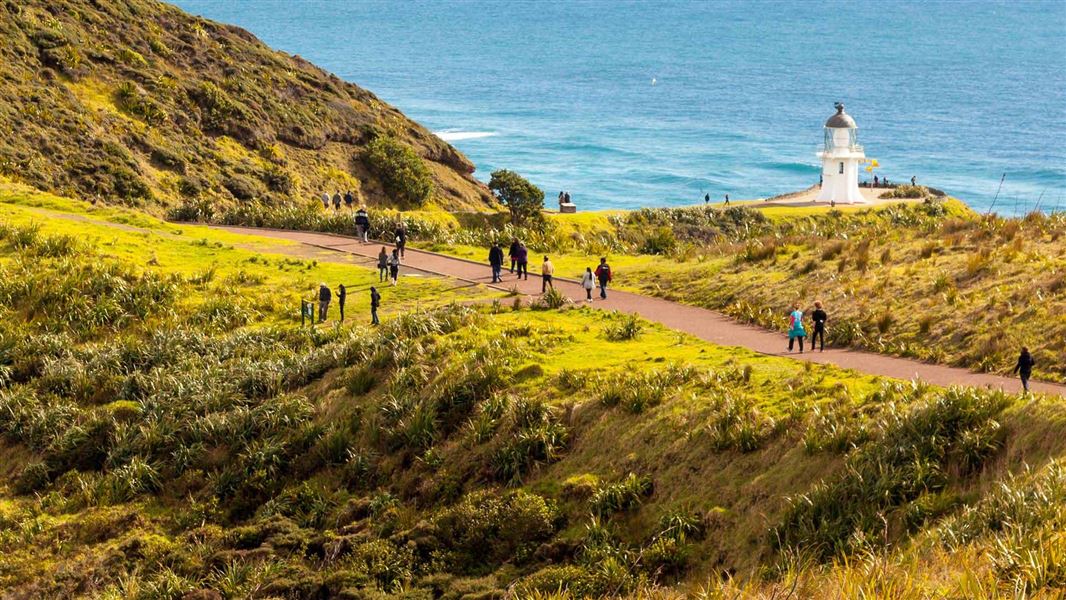 Cape Reinga Lighthouse Walk. 