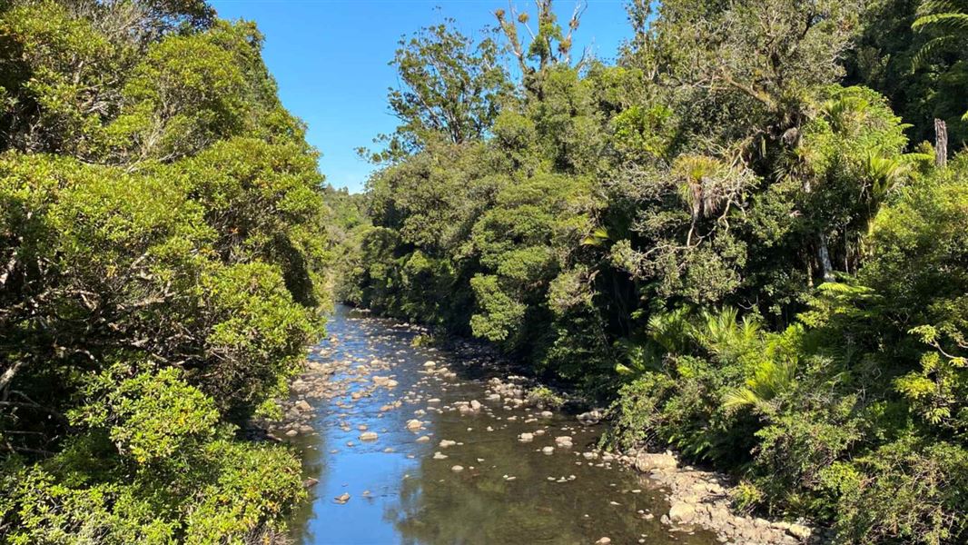 A long stretch of clear water, surrounded by dense trees either side.