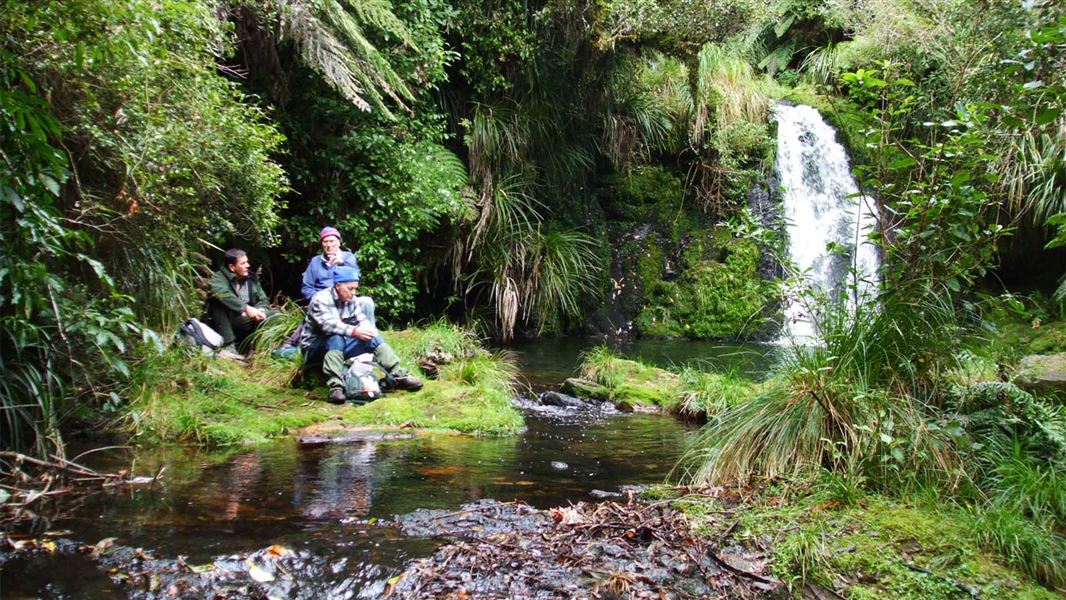 Three hikers sit down next to a small waterfall and pond in a dense forest.