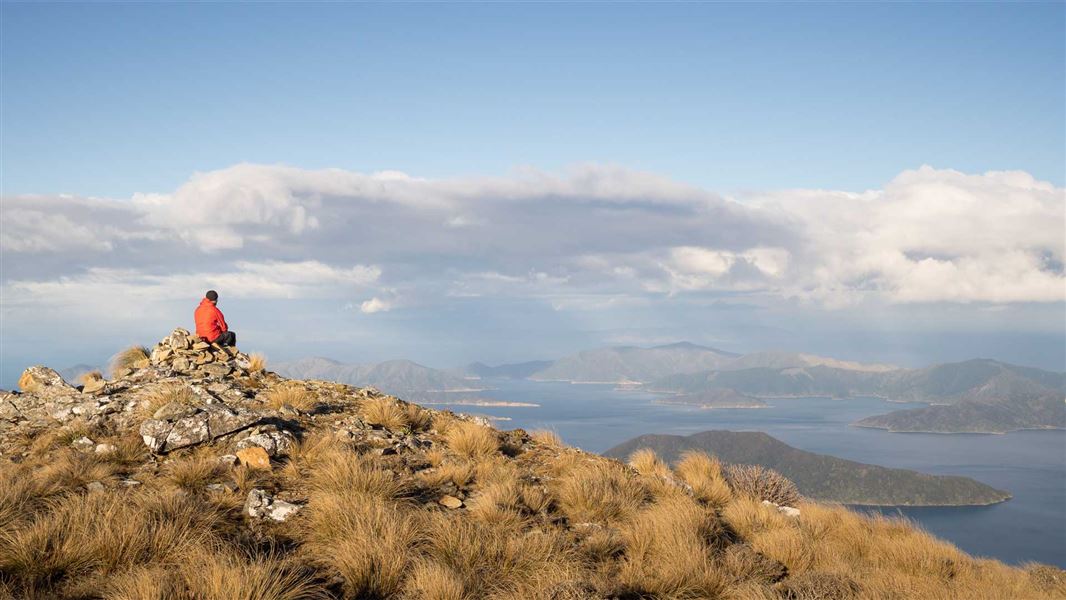 Mount Stokes Track: Pelorus & Kenepuru Sounds area, Marlborough region