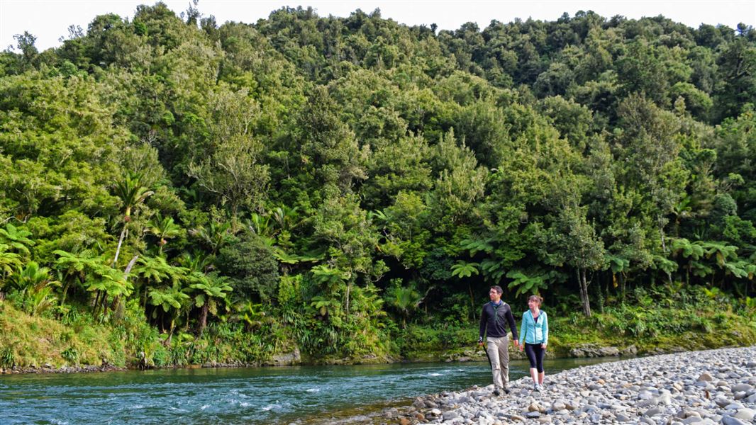 Walking in Waioweka Conservation Area.