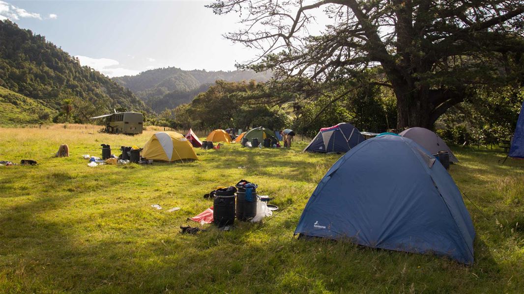 Tents pitched at Whakahoro Campsite