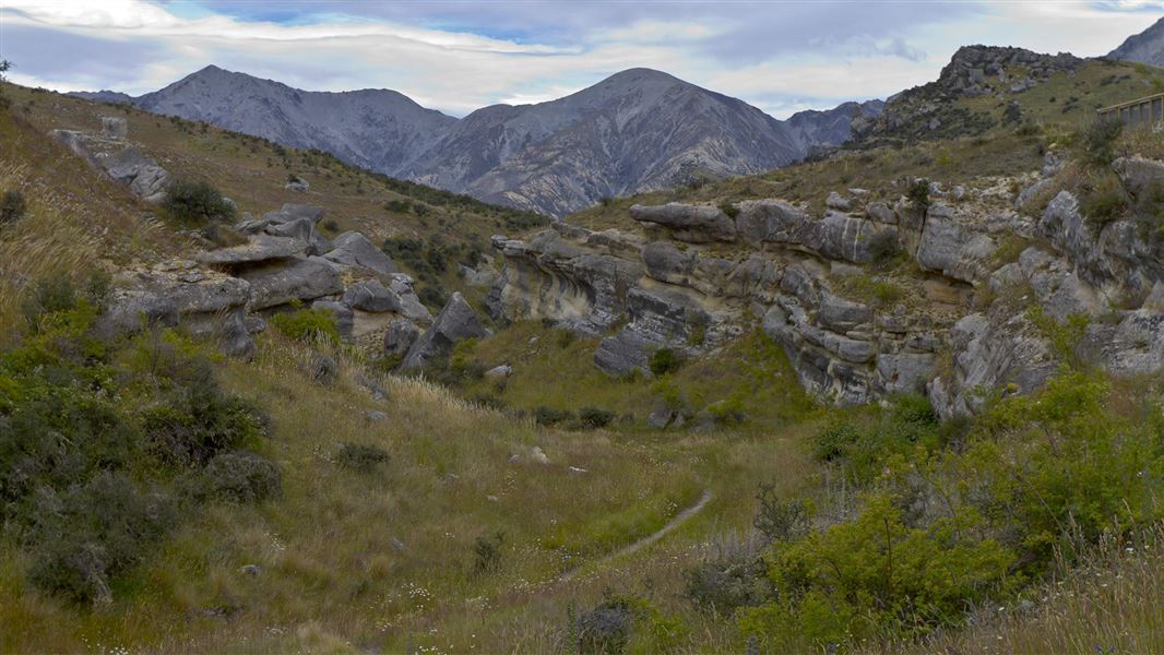 Cave Stream Scenic Reserve