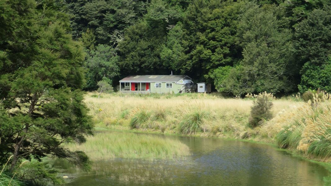 Hut near river surrounded by trees.