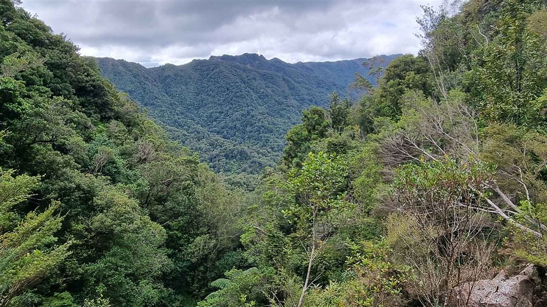 View from High-Level Pack Track. 