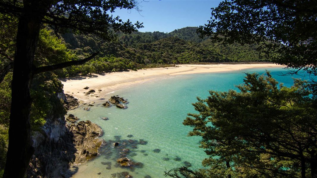 Onetahuti Bay Campsite Abel Tasman.