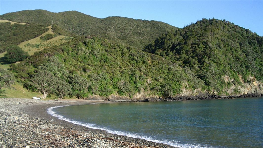 Stony beach. 