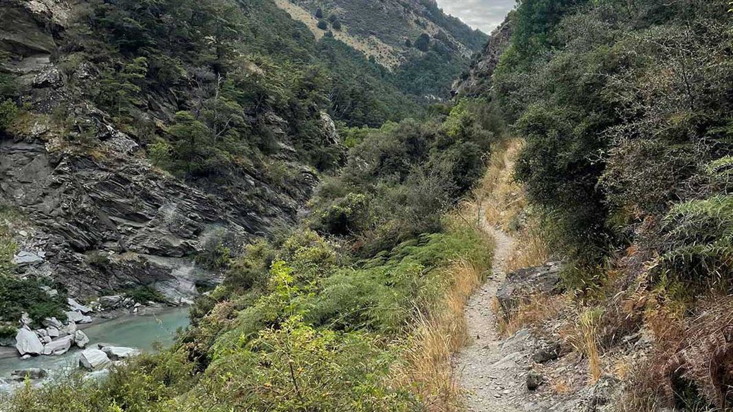 Lower Tīmaru River Track. 