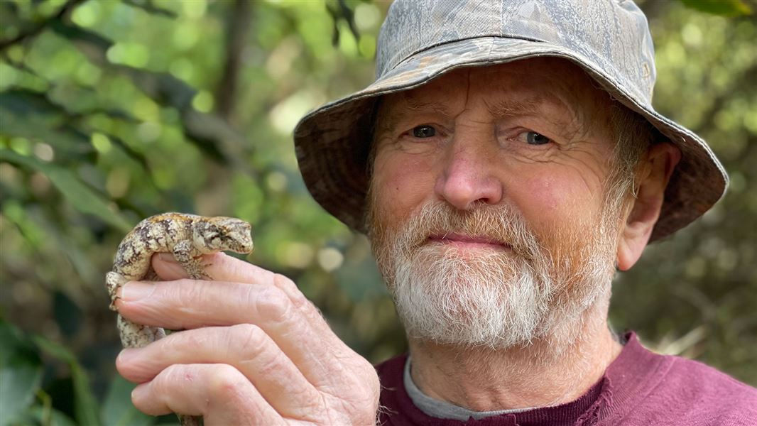 A close up of a man holding a lizard on the back of his hand.