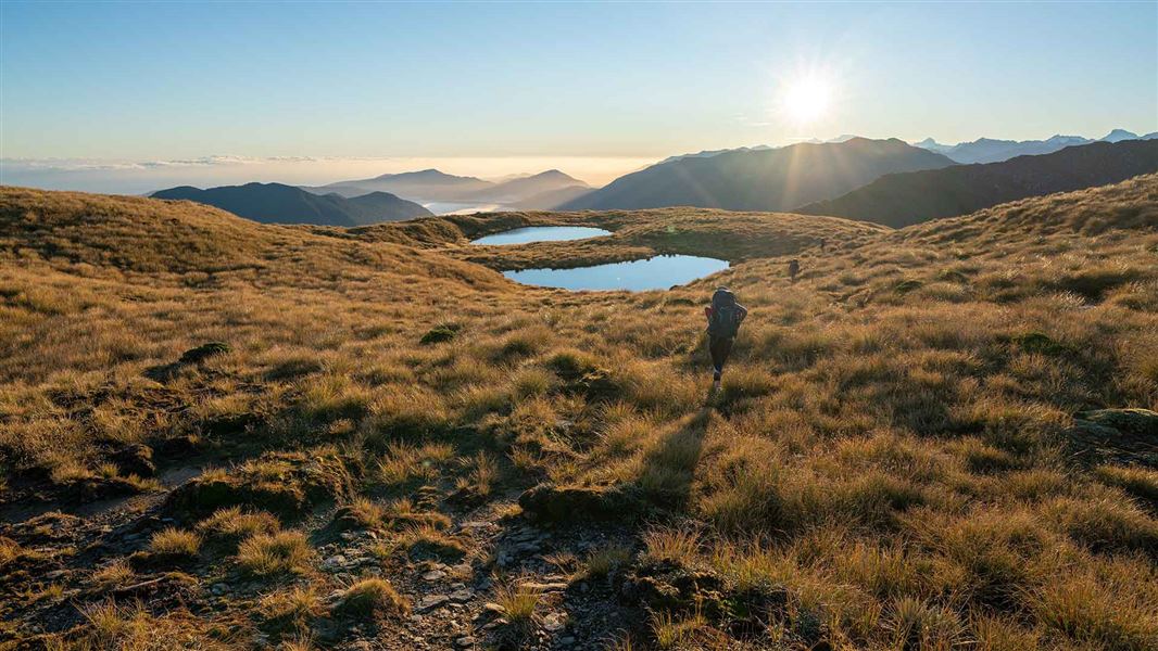 Morning on the Mataketake Tops. 