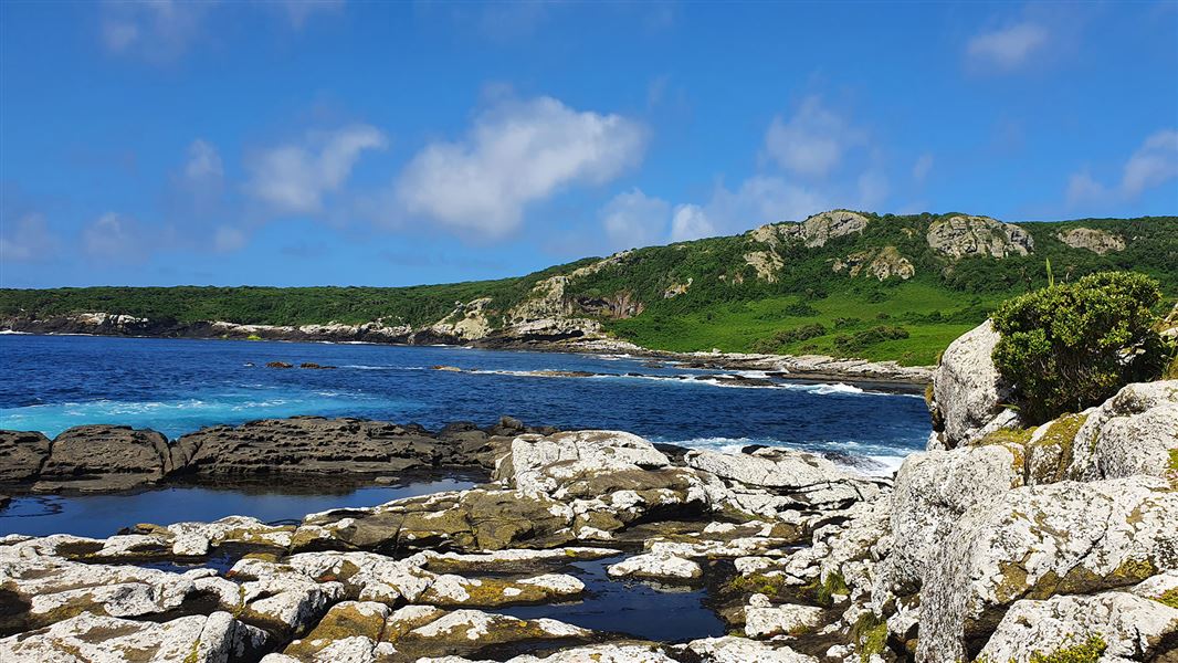 Rocky coast with small hill in background.