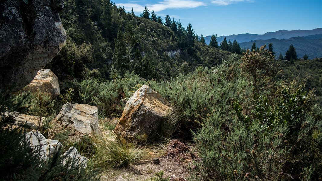 Chalkies Track: Silverstream area, Otago region