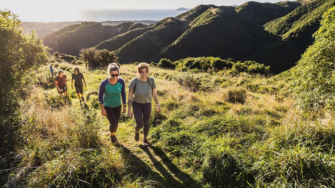 Whareroa Farm tracks people walking. 