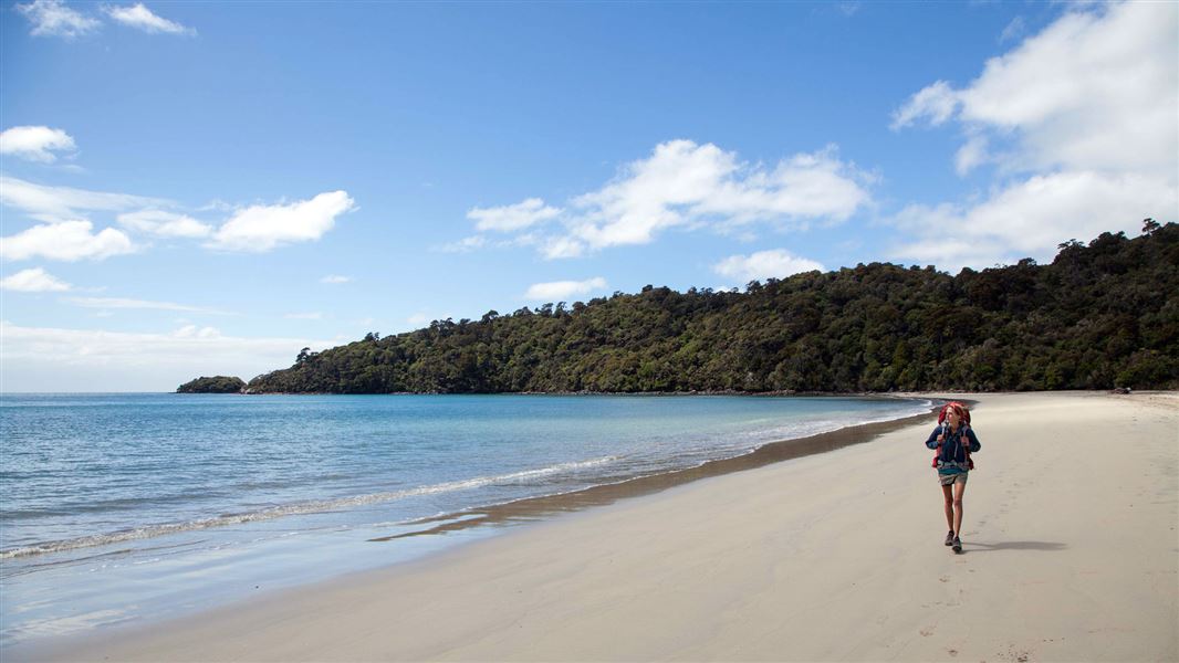 Tramper at Rakiura National Park. 