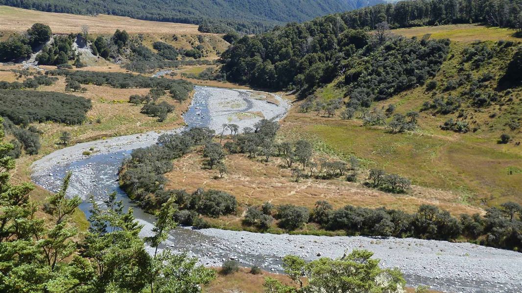 Looking up the Henry River by Anne Hut. 