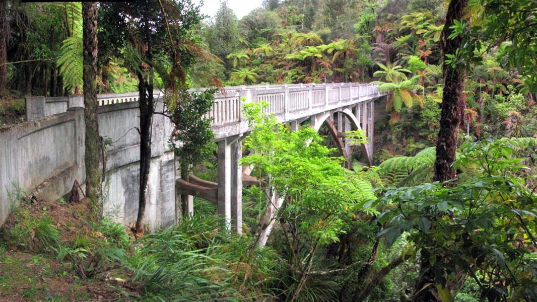 Bridge to Nowhere on the Mangapurua Track. 