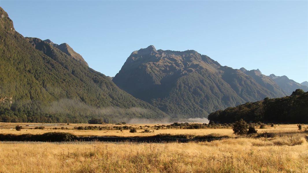 Grassy plain with mountain range behind.