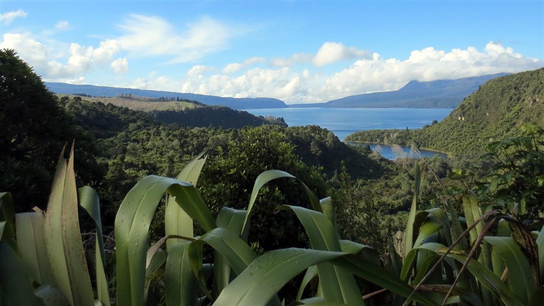 Lake Tarawera. 