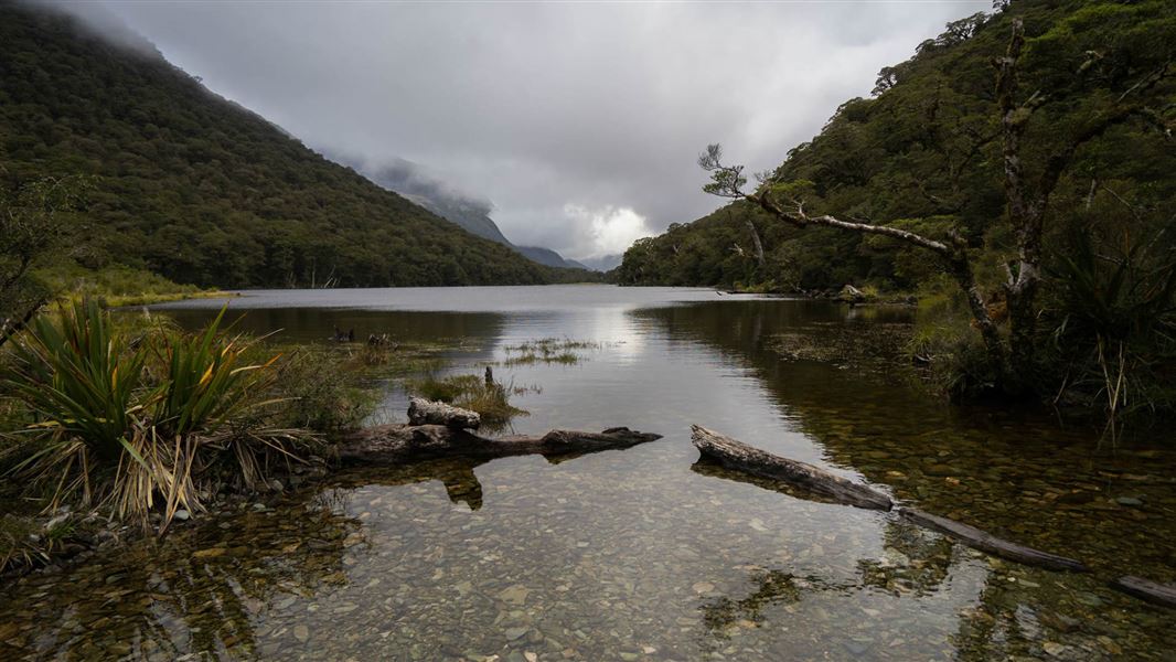 Lake Howden Track Routeburn.