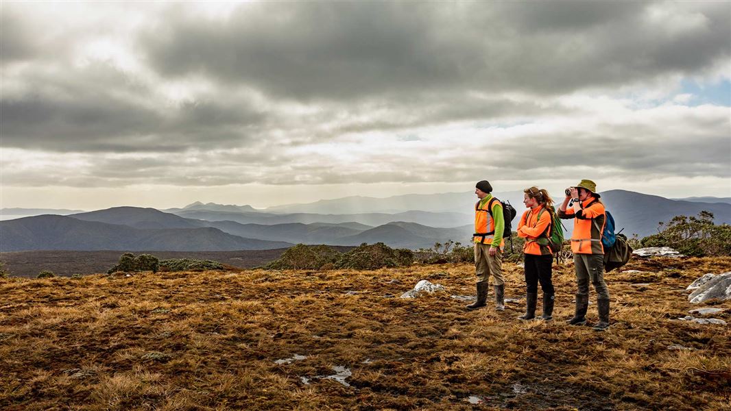 Rakiura DOC workers. 