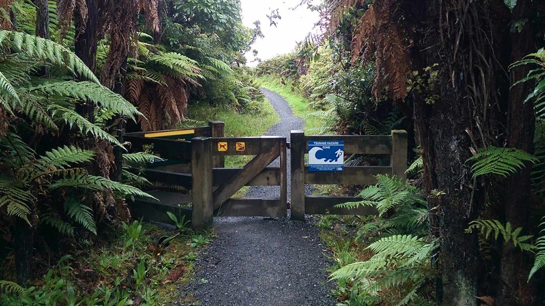 Rakiura Great Walk Track. 