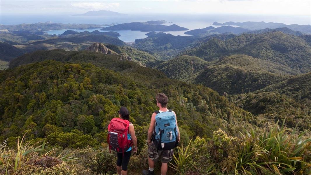 Great Barrier Island, New Zealand