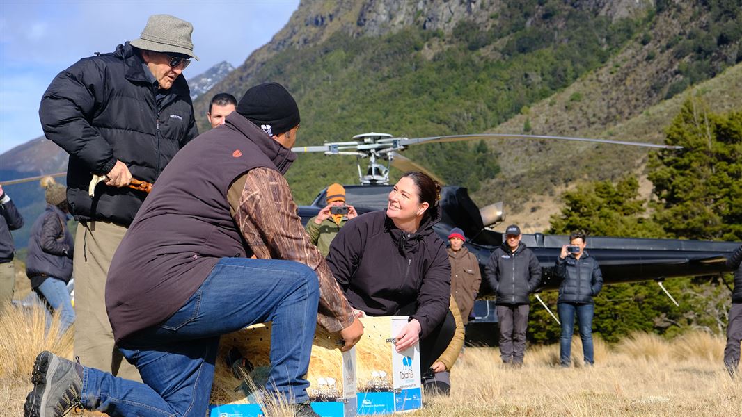 Kiwi Johnson, of Fulton Hogan, Tā Tipene O'Regan, Ngāi Tahu rangitira, and the Minister of Conservation Willow-Jean Prime get ready to release a takahē.