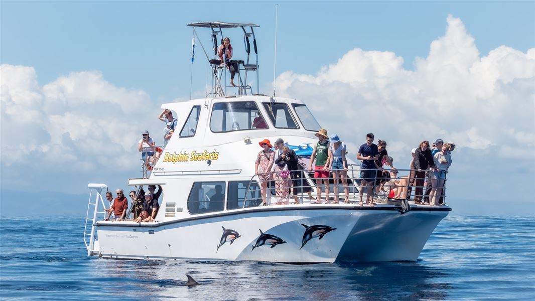 People watch wildlife from a permitted operator. 