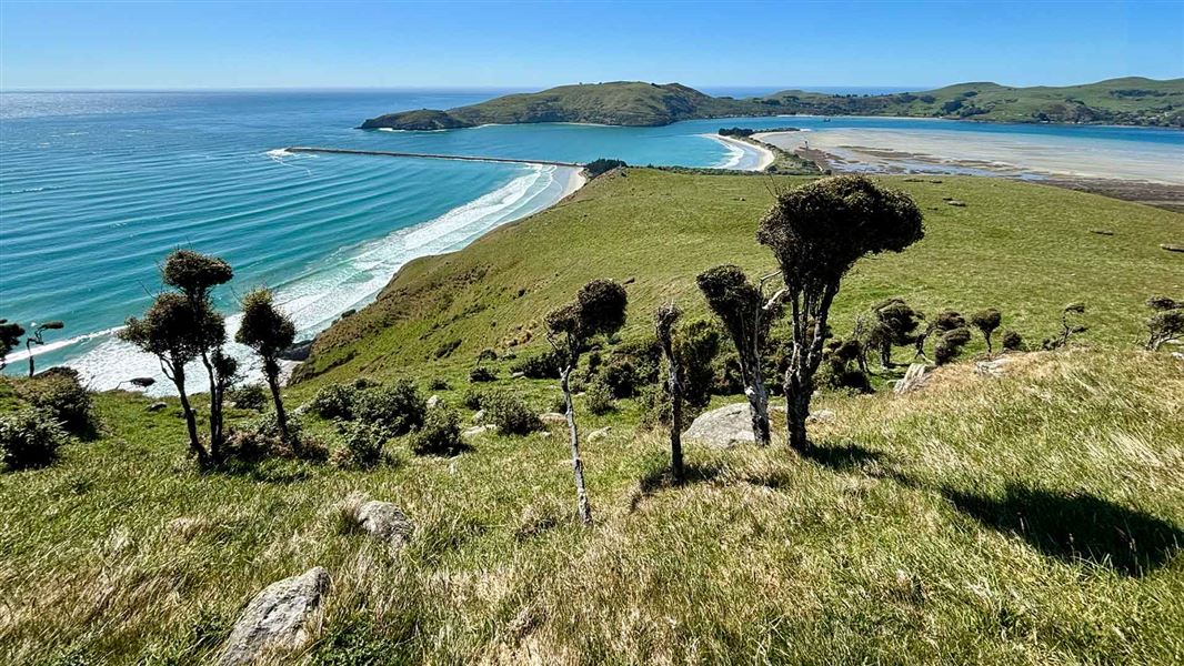 View from Heyward Point Track. 