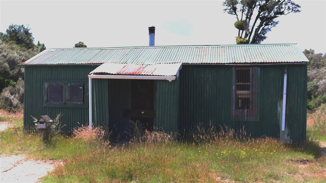 Green tin hut with long grass in front.