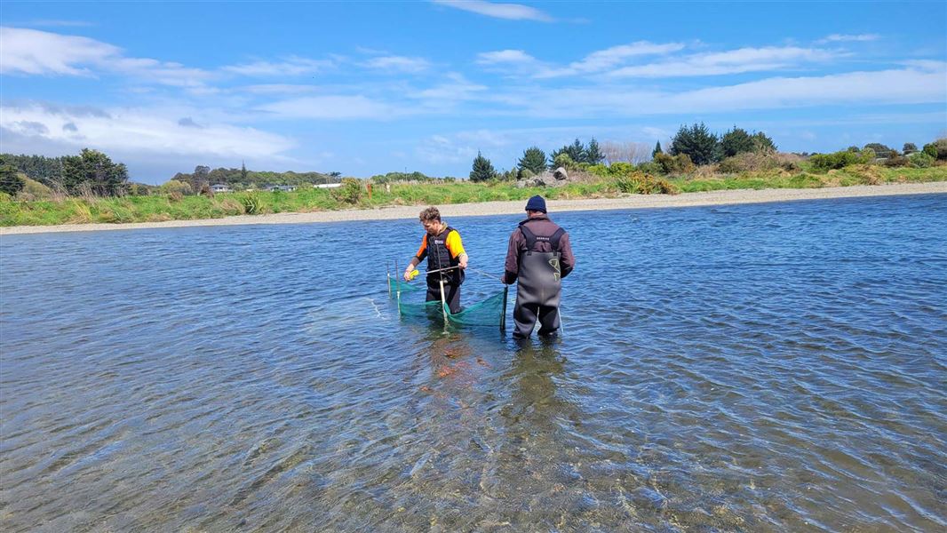 Two people standing up to their calves in water with a green net. 