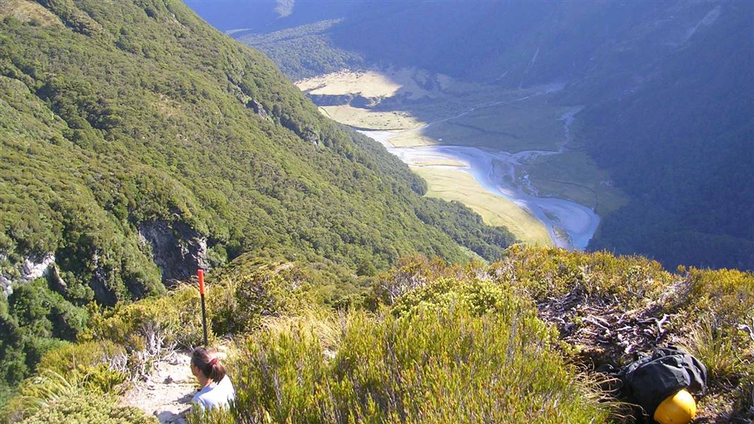 View from French Ridge Track.