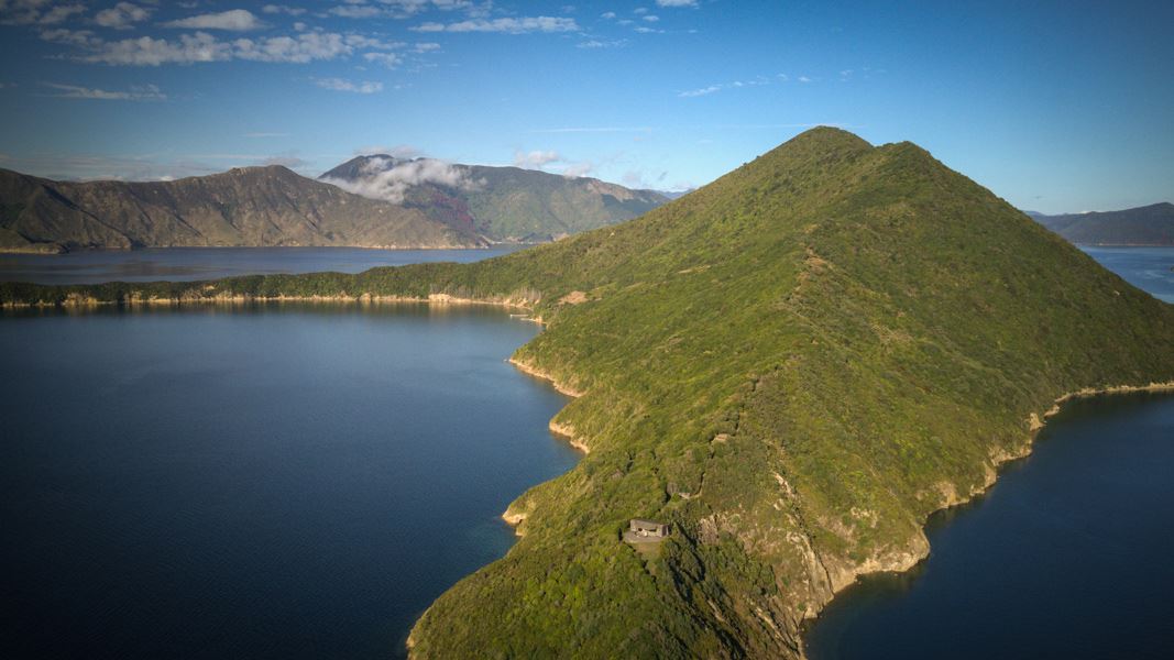 Maud Island from the air. 