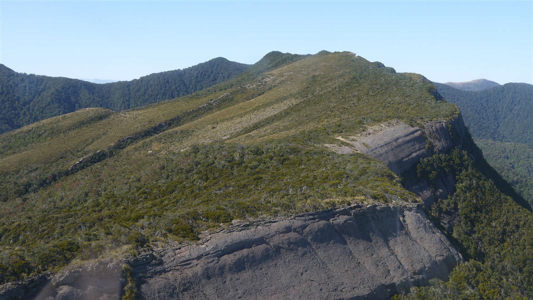 The escarpment, Paparoa track.