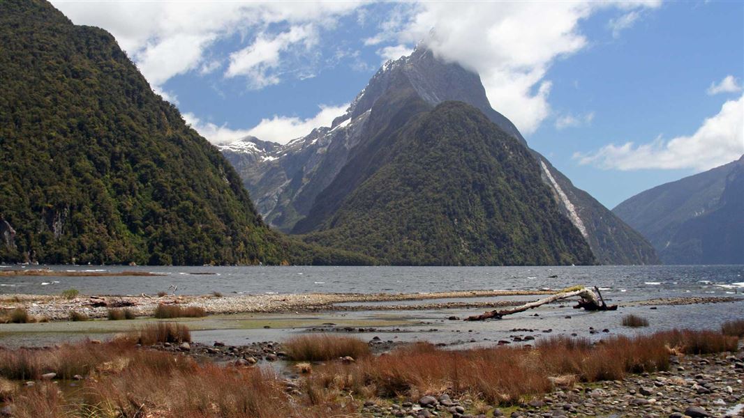 Milford Sound foreshore and Mitre Peak