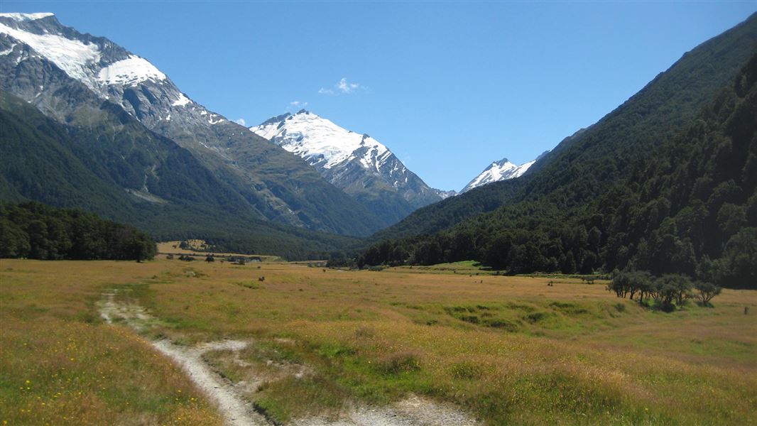 West Matukituki Track.