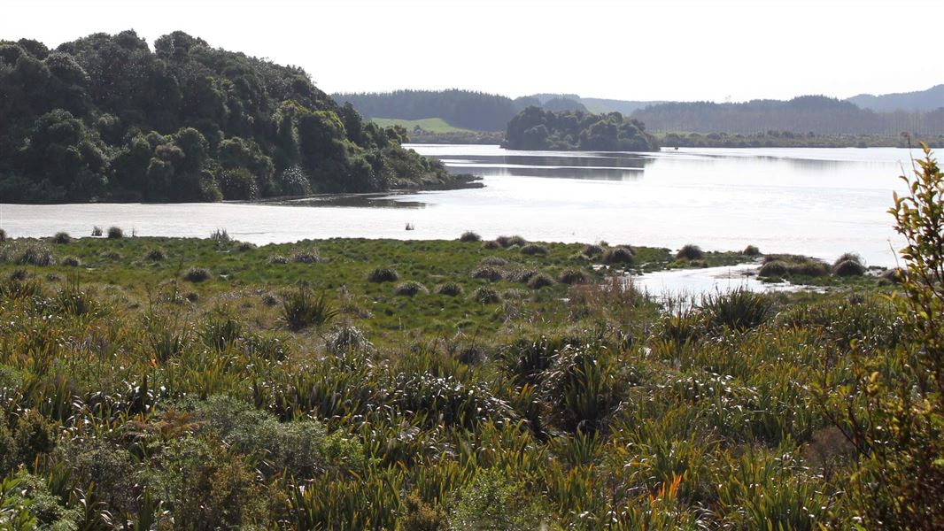 Lake Waiwiri and surrounding trees. 