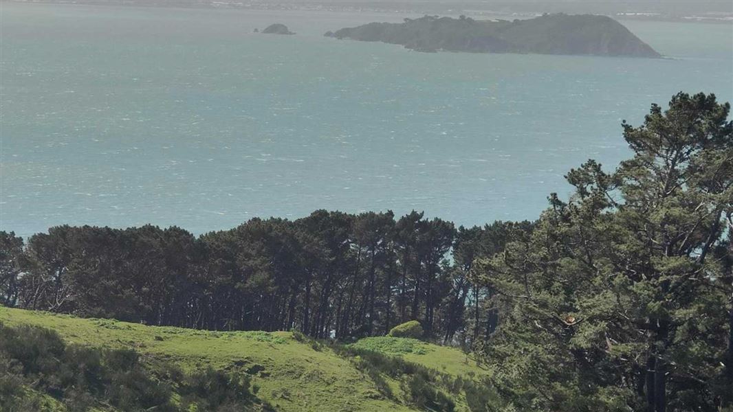 View of Watts Peninsula.