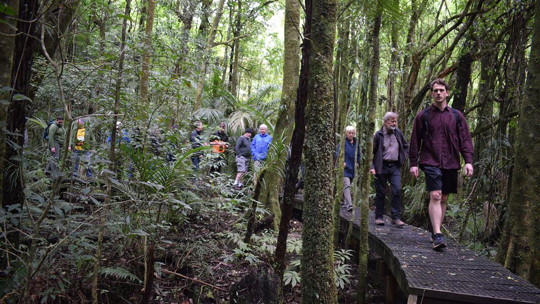 People walking through forest..