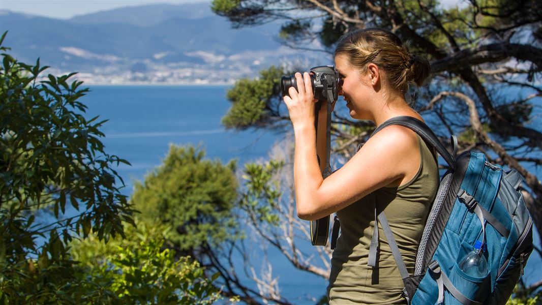 A visitor capturing the view from Kapiti Island. 