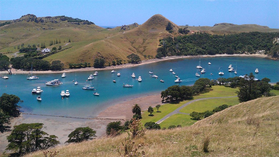 Boats in harbour.